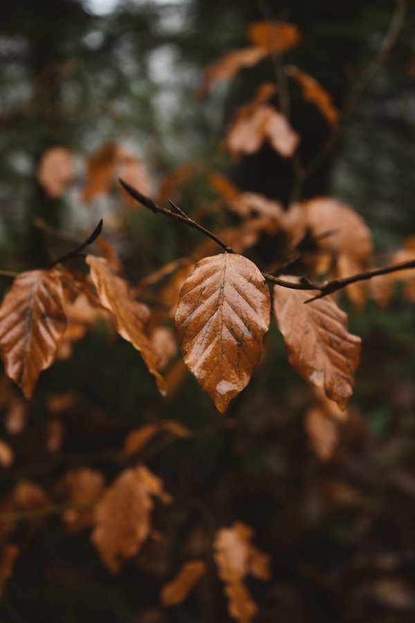 Quelles sont les 4 caractéristiques de l'environnement de l'entreprise ?